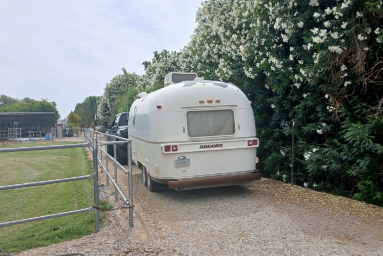 ... and the dream started when we found it